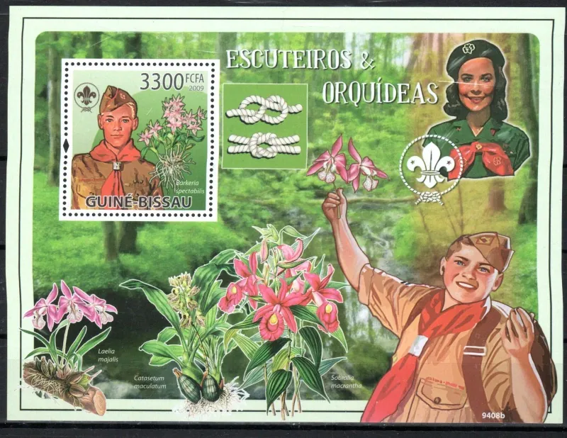 4355-4359 + BL 707 Flora