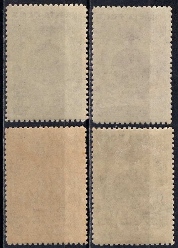 1003-1006*