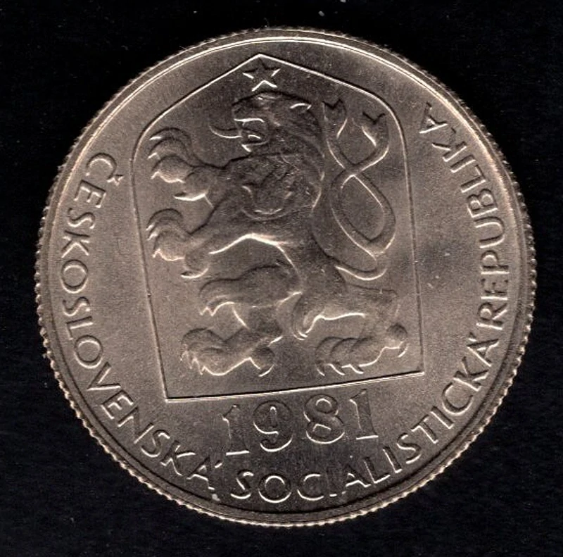 73/ 1981 - 50h