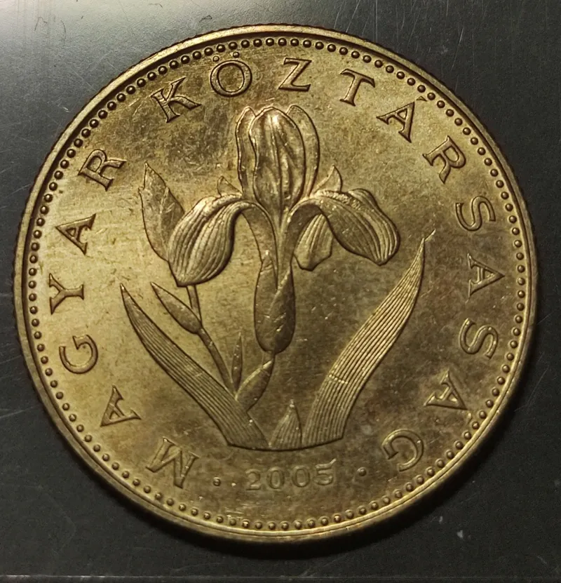 20 Forint 2005