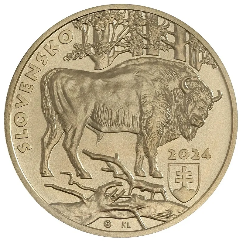 5 € Slovensko 2024 - Zubor hrivnatý