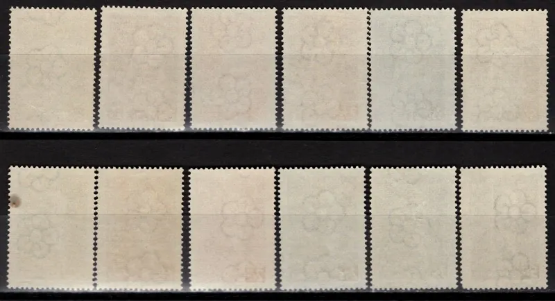 0242-0253
