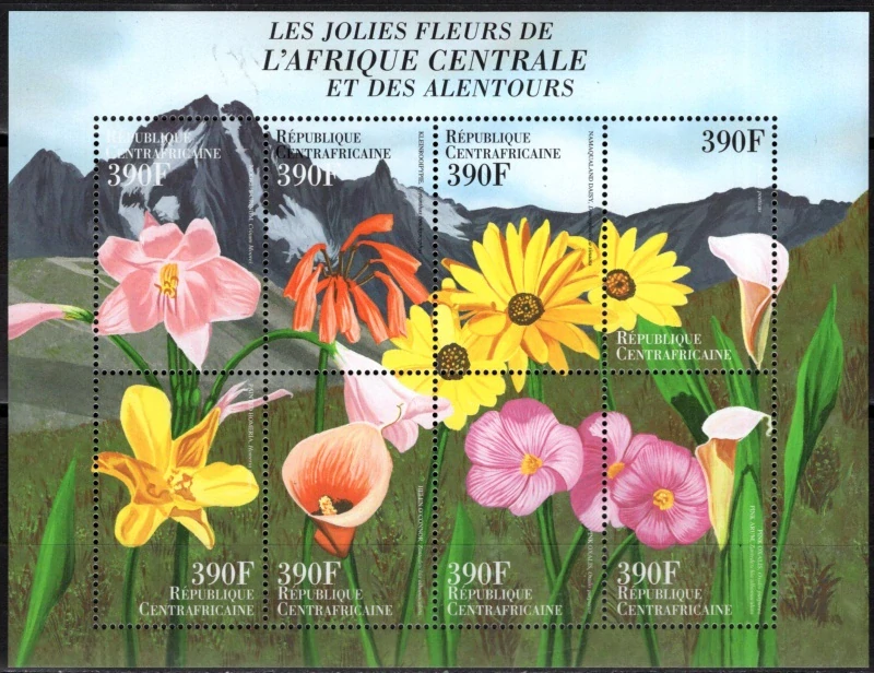 2399-2462 Flóra