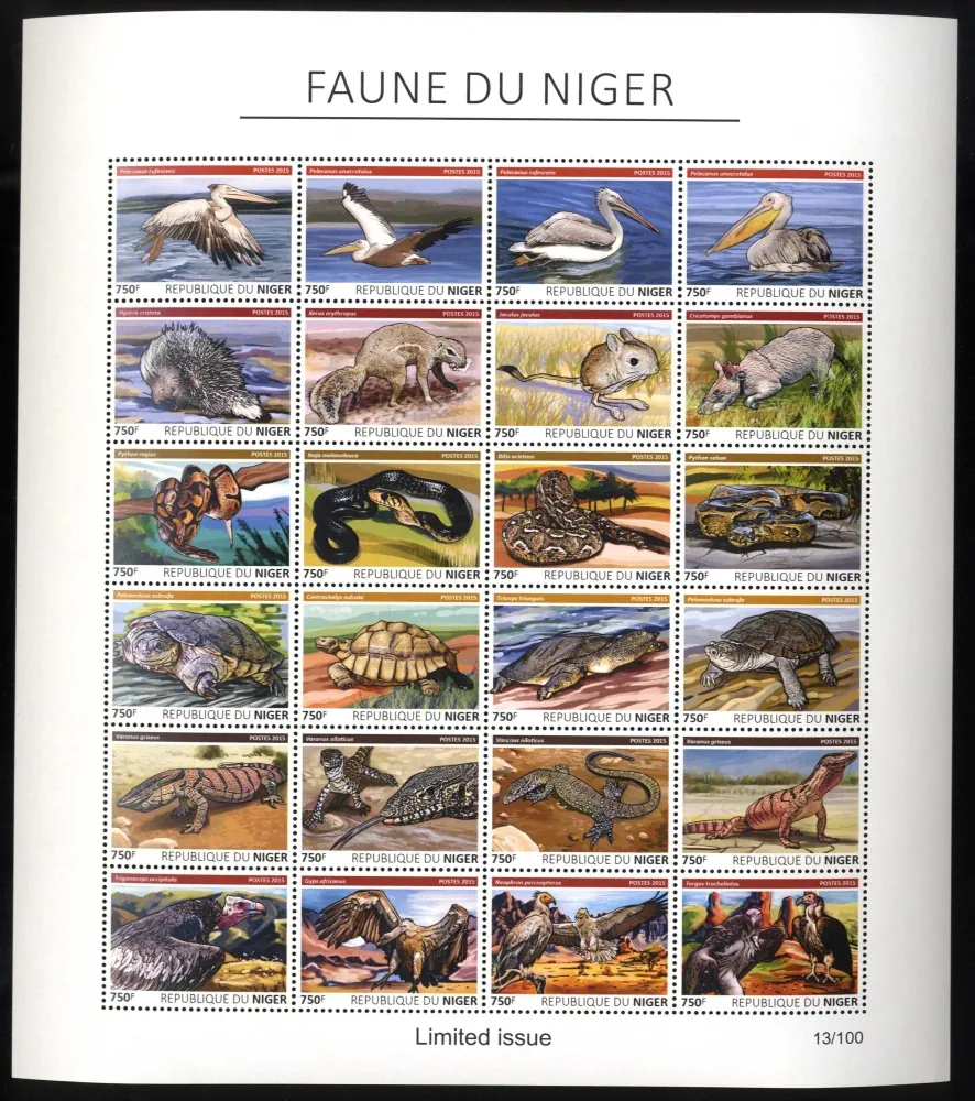 3747 - 3846 FAUNA
