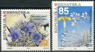 0205-0206