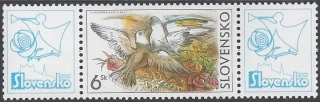 0271 KZK