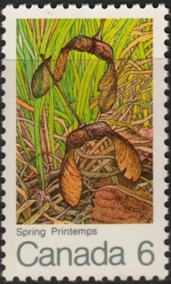 0478 Flora