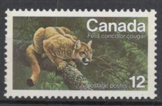 0650 Fauna