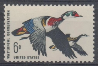 0971 Fauna