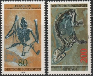 0974-0975