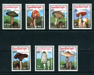 1048-1054 Hríby