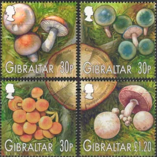 1054-1057 Hríby