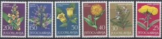 1118-1123 Flóra