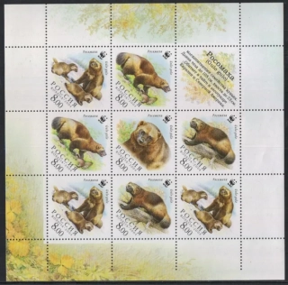1198-1201 Fauna