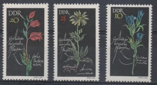 1242-1244 Kvety