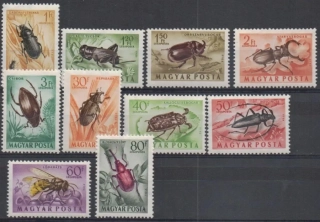 1354-1363 Fauna