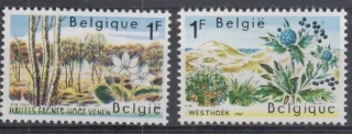 1468-1469 Flóira