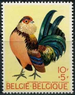 1572 Fauna