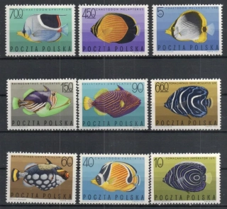1748-1756 Ryby