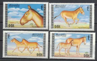 1995-1998 Fauna