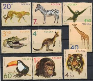 2162-2170 Fauna