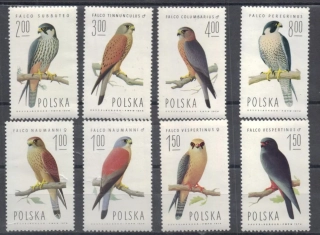 2354-2361 Vtáky