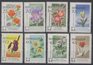 2418-2425 Flóra