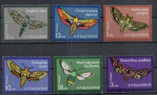 2436-2441 Fauna