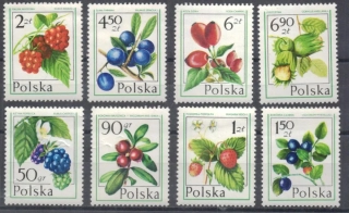2487-2494 Flóra