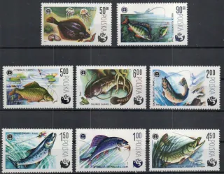 2616-2623 Fauna