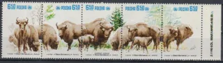 2764-2768 FAUNA