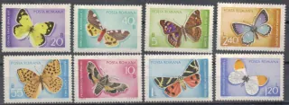 2771-2778 Fauna