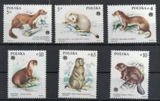 2946-2951 Fauna