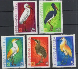 2982-2986 Fauna