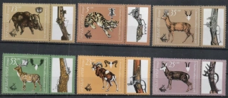 2996-3001 Fauna