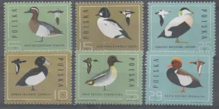 2998-3003 Vtaky