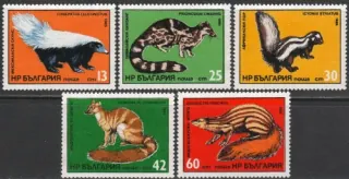 3333-3337 Fauna