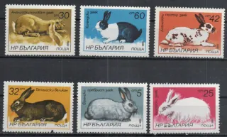 3447-3452 Fauna