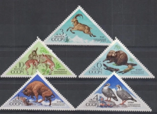 4137-4141 Fauna