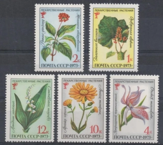 4156-4160 Flora