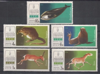 4238-4242 Fauna