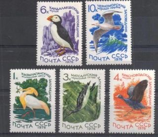 4506-4510 Fauna
