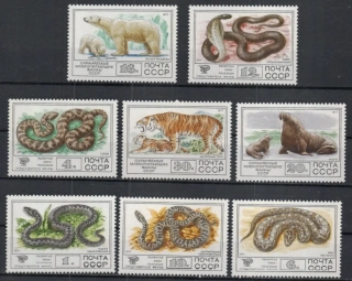 4678-4685 Fauna