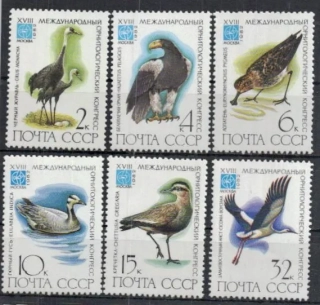 5181-5186 Fauna