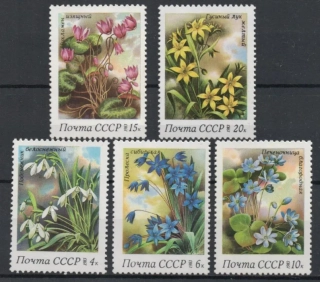 5278-5282 Flora