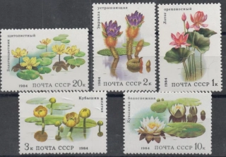 5381-5385 Flora