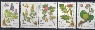 5528-5532 Flora