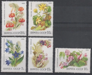 5847-5851 Flora