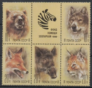 5877-5881 Fauna