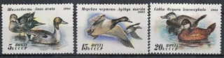 6210-6212 Fauna